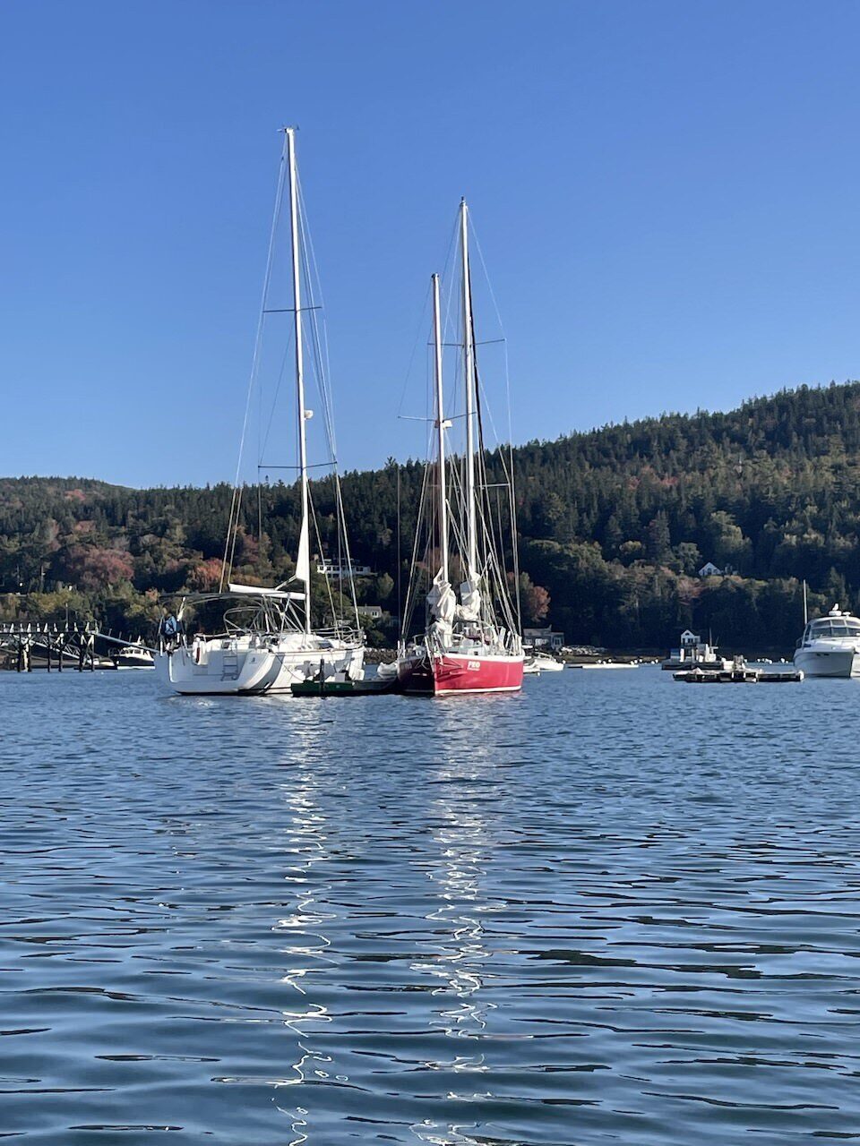 Feo at the floating dock in Northeast Harbor, Maine